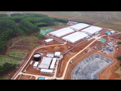 Alimentatore di finitura di Fattening Pen Piglet Nursery Crate With del recinto del pannello del PVC